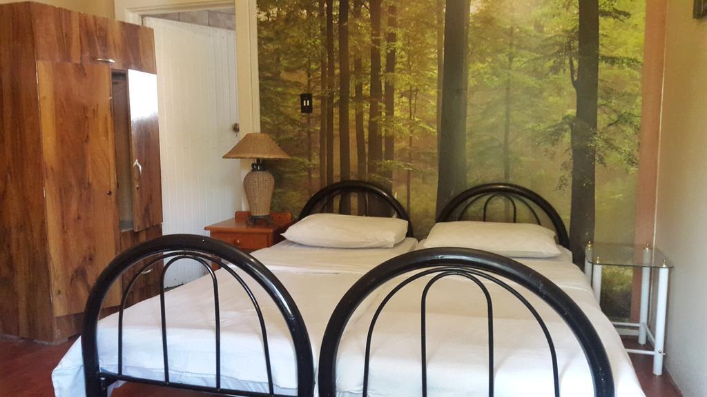 Rosebank Lodge & Backpacker Γιοχάνεσμπουργκ Εξωτερικό φωτογραφία